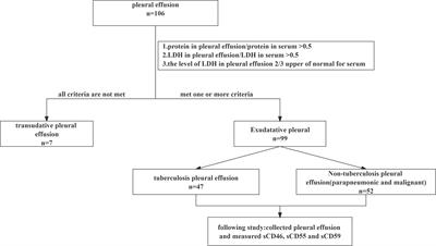 Complement regulatory proteins: Candidate biomarkers in differentiating tuberculosis pleural effusion